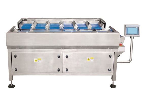 Máy cân nhiều đầu tự động 12 đầu
